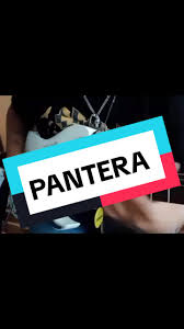 pantera #dimebagdarrell #heavymetal #metalguitar #fyp #music ...